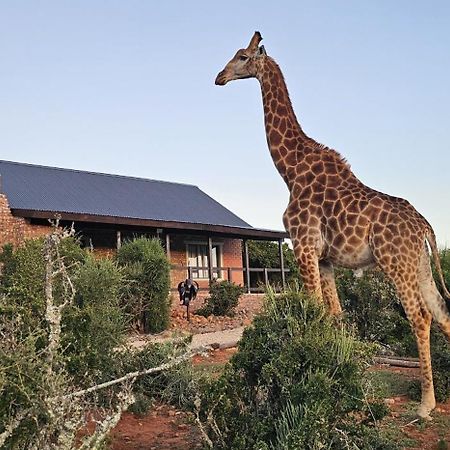 Valley Bushveld Country Lodge Addo Exteriör bild