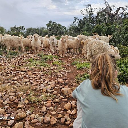 Valley Bushveld Country Lodge Addo Exteriör bild