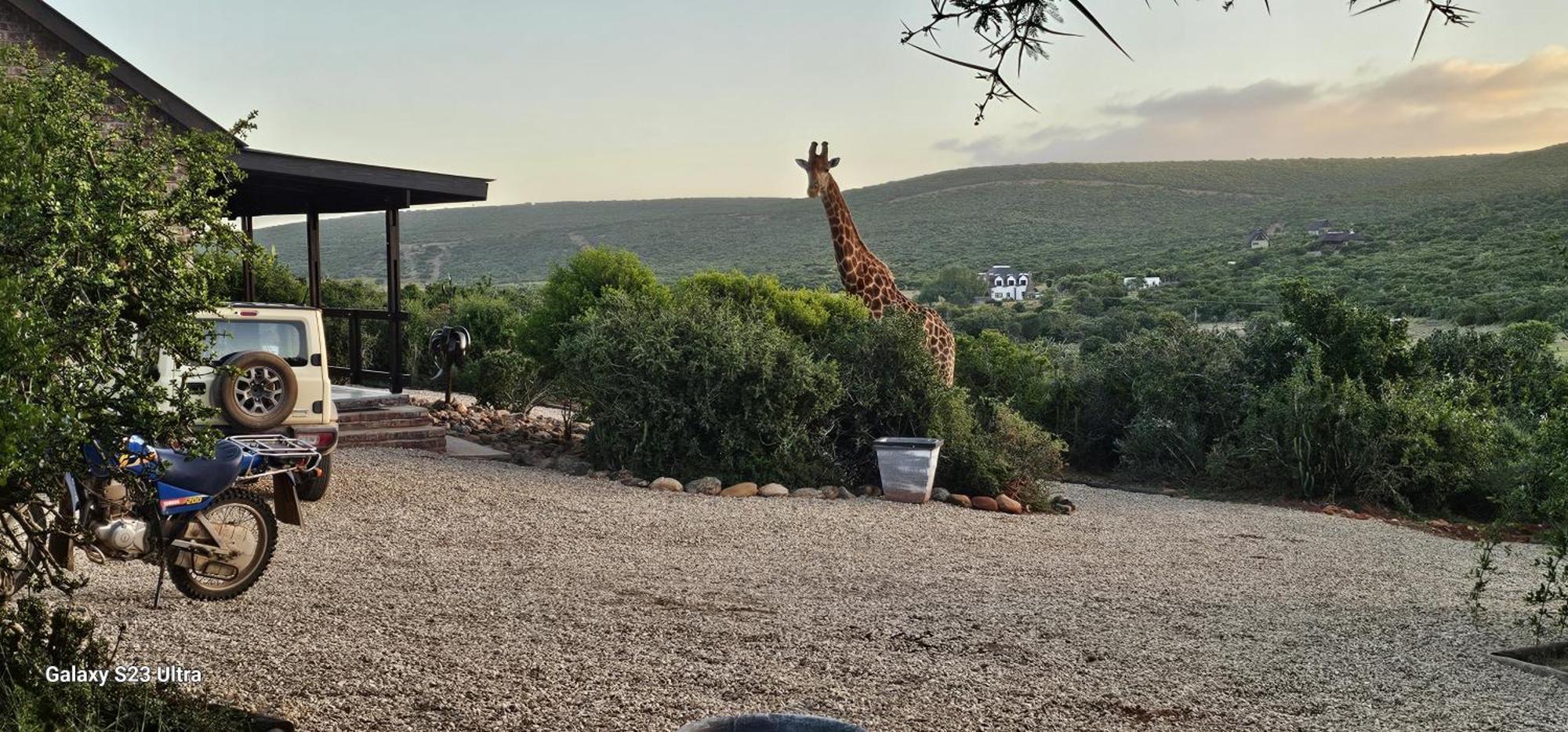 Valley Bushveld Country Lodge Addo Exteriör bild