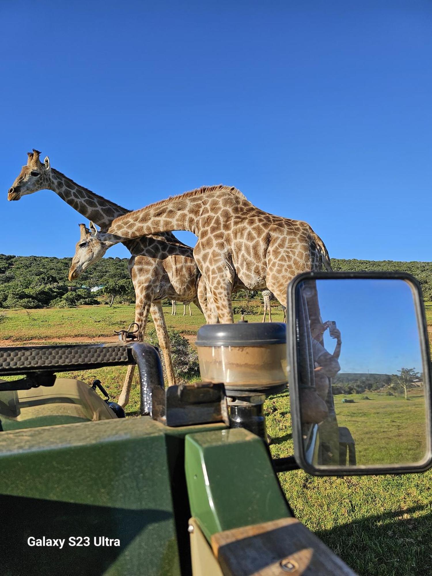 Valley Bushveld Country Lodge Addo Exteriör bild