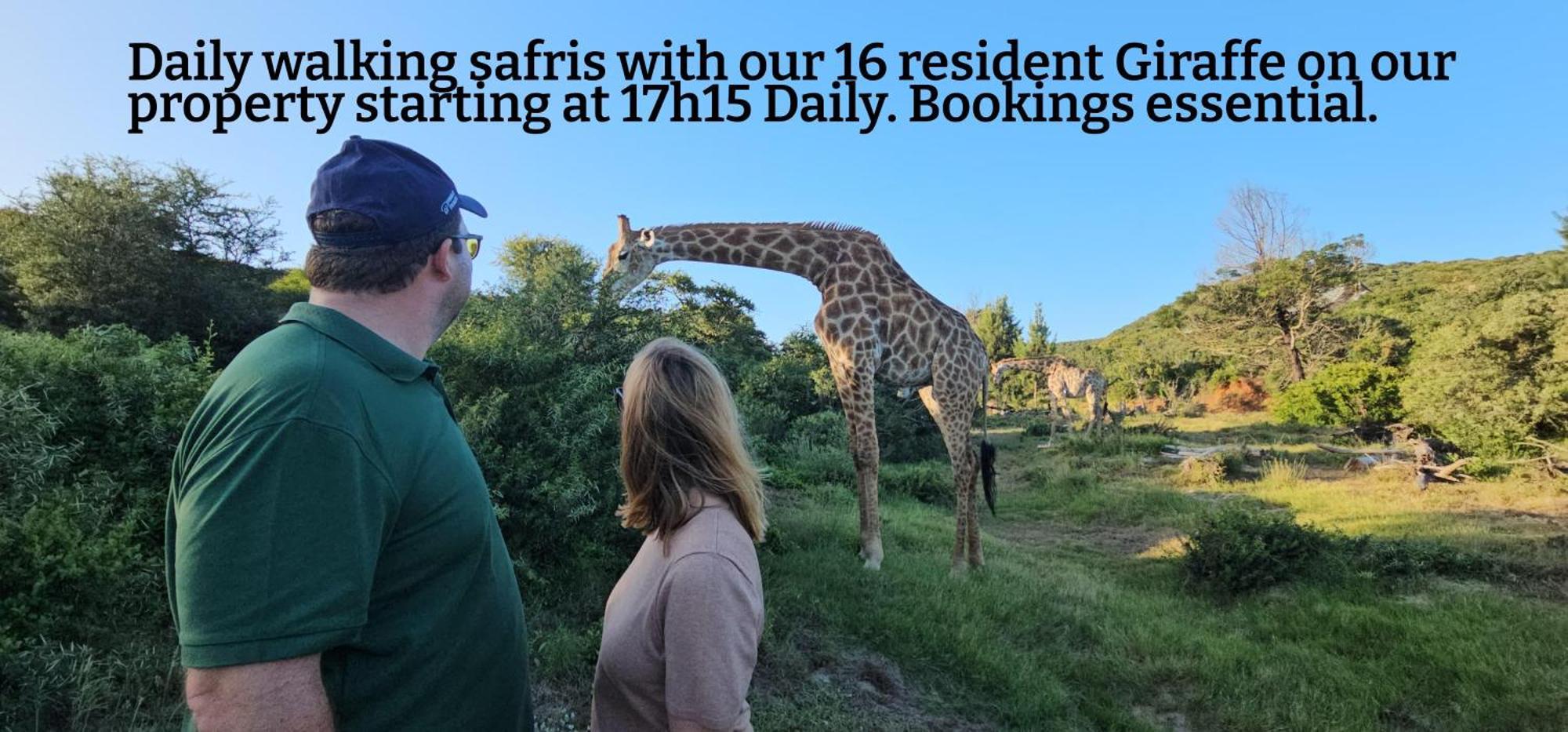 Valley Bushveld Country Lodge Addo Exteriör bild