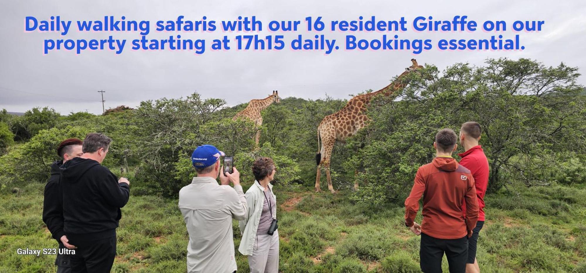 Valley Bushveld Country Lodge Addo Exteriör bild