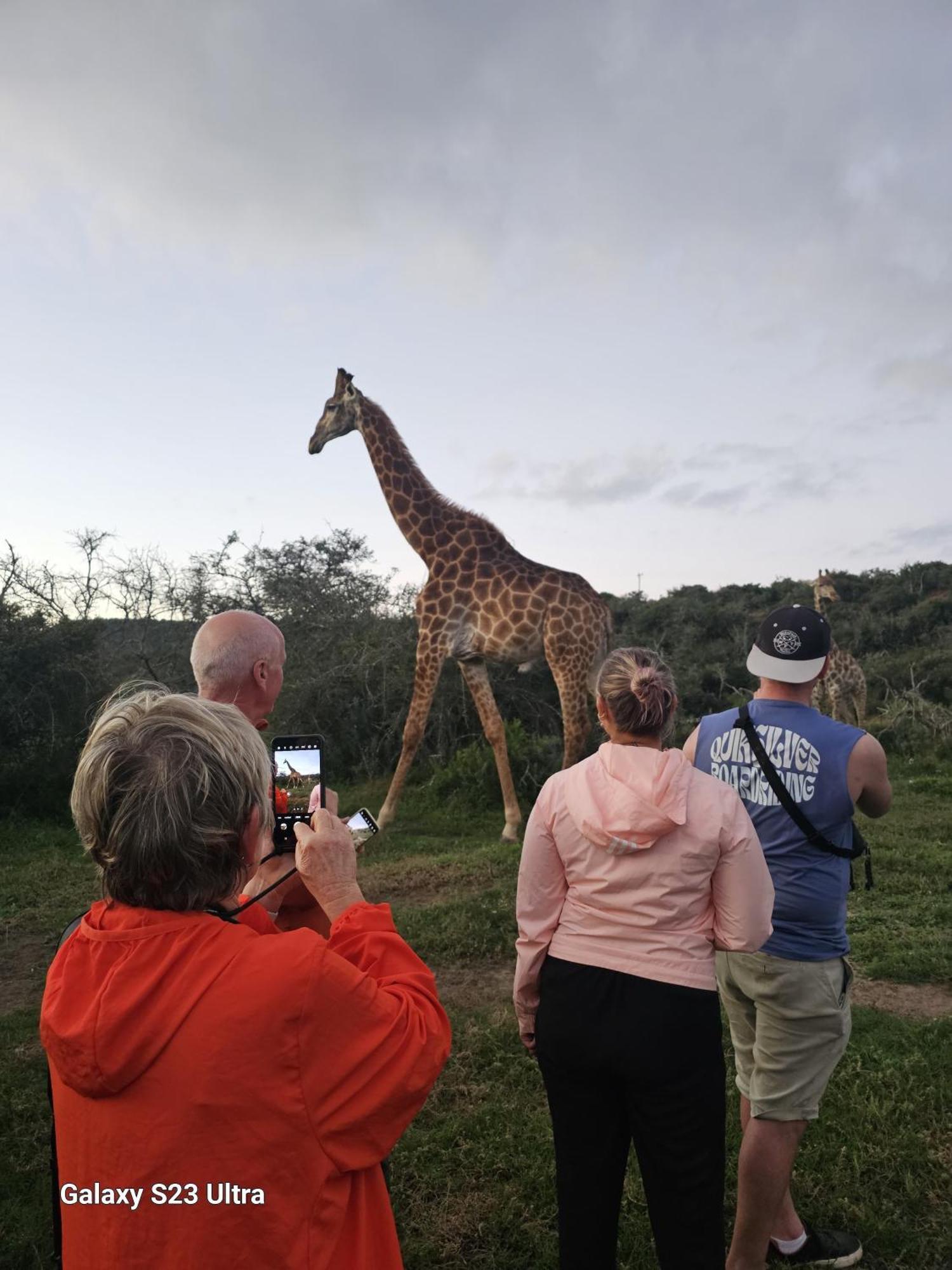 Valley Bushveld Country Lodge Addo Exteriör bild
