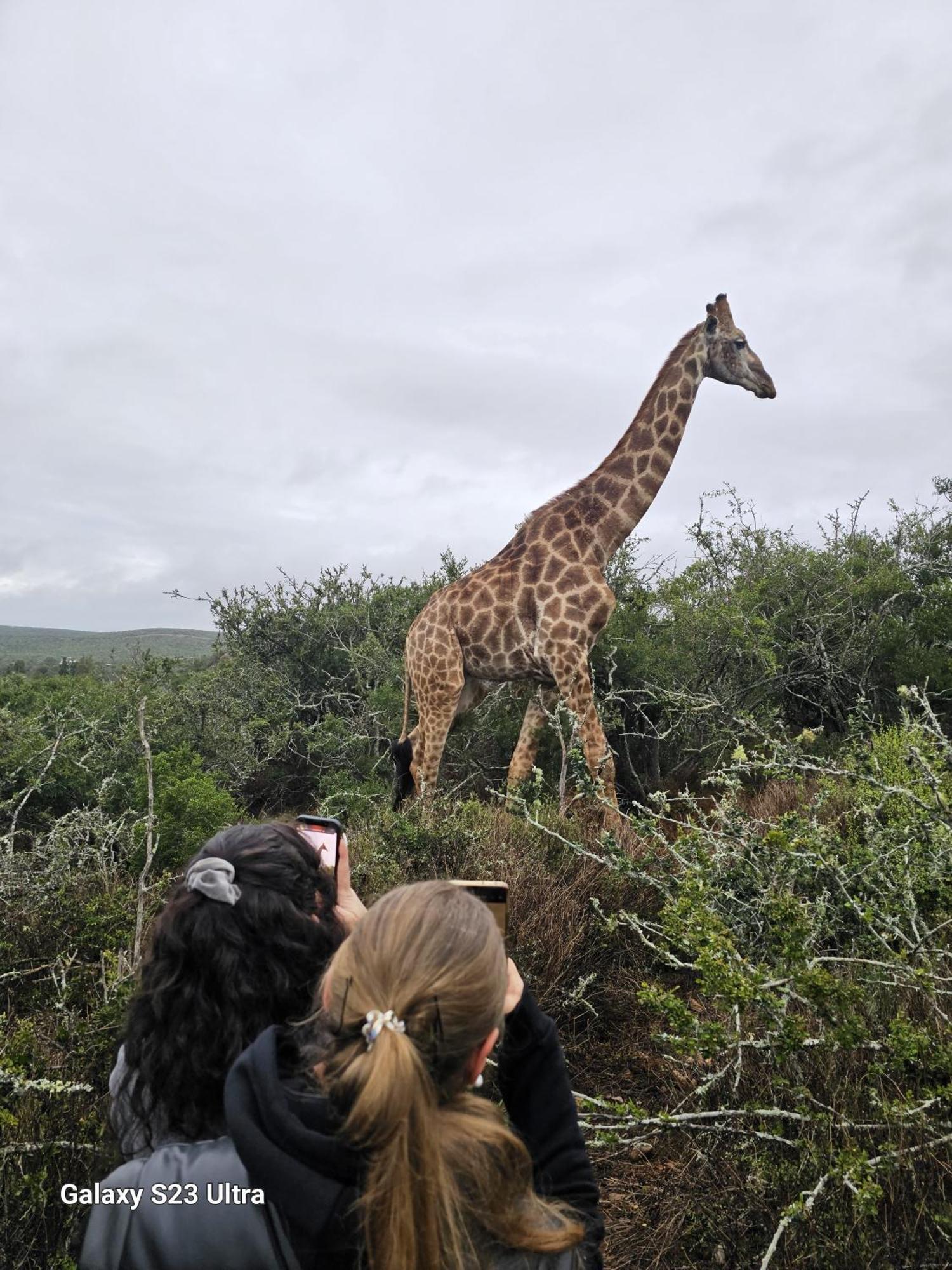 Valley Bushveld Country Lodge Addo Exteriör bild
